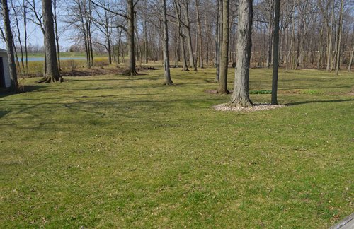 Property photo 19 - 3.4 Acres Offered in 2 Tracts - 3 Bedroom Ranch Home plus Additional Lot